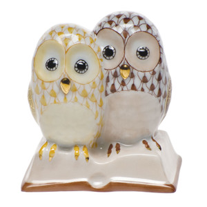 Pair of Owls on Book